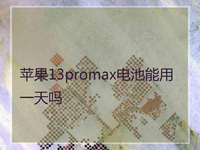 苹果13promax电池能用一天吗