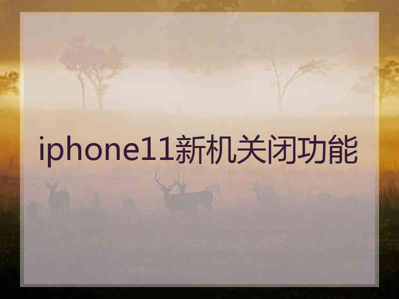 iphone11新机关闭功能