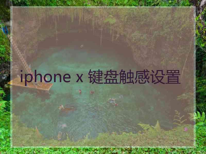 iphone x 键盘触感设置