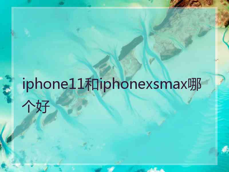 iphone11和iphonexsmax哪个好