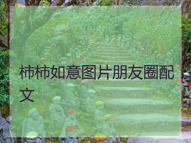 柿柿如意图片朋友圈配文