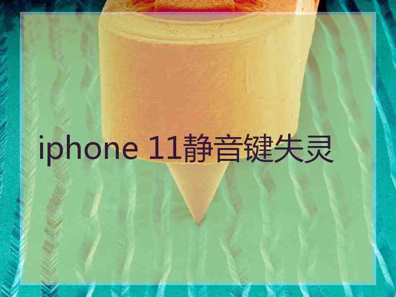 iphone 11静音键失灵