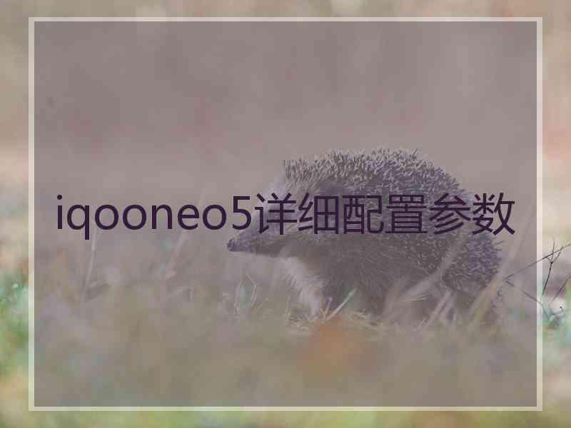 iqooneo5详细配置参数