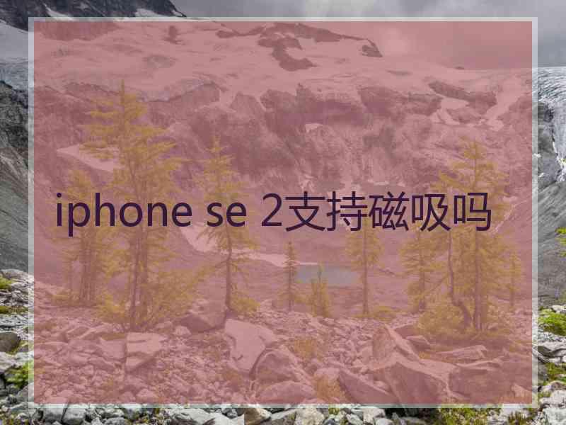 iphone se 2支持磁吸吗