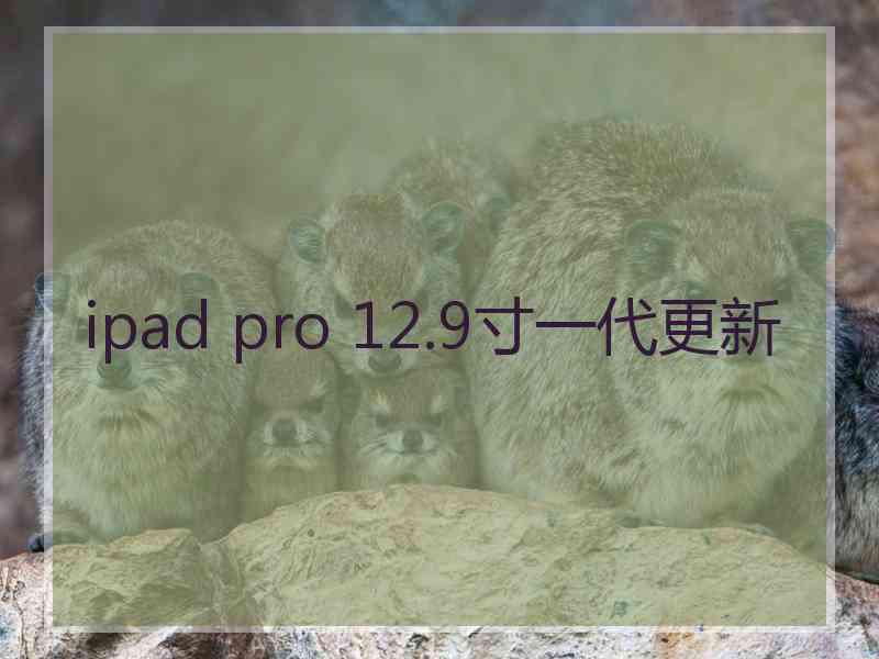 ipad pro 12.9寸一代更新