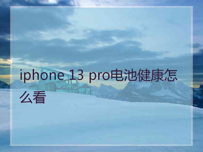 iphone 13 pro电池健康怎么看