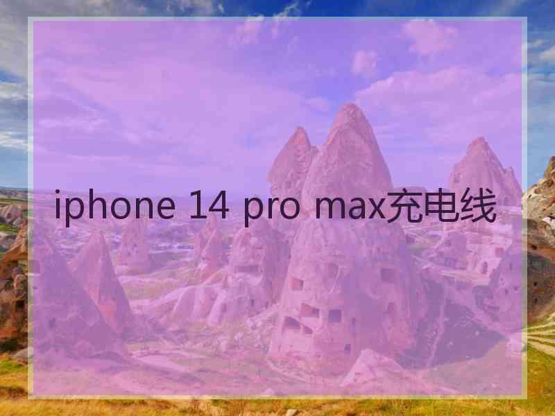 iphone 14 pro max充电线