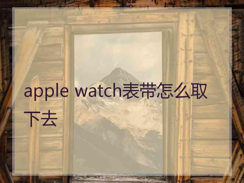 apple watch表带怎么取下去