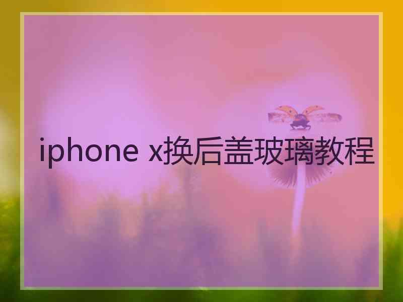 iphone x换后盖玻璃教程