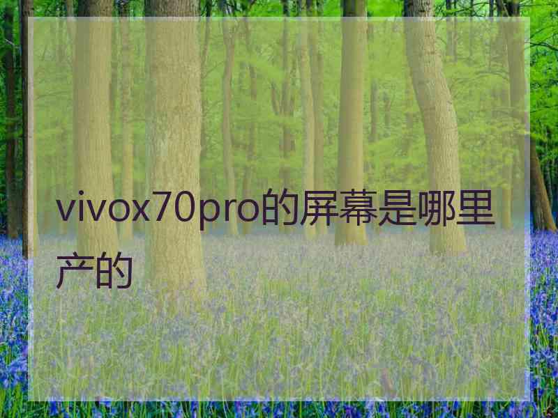 vivox70pro的屏幕是哪里产的