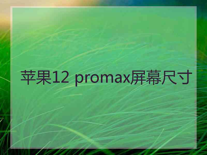 苹果12 promax屏幕尺寸