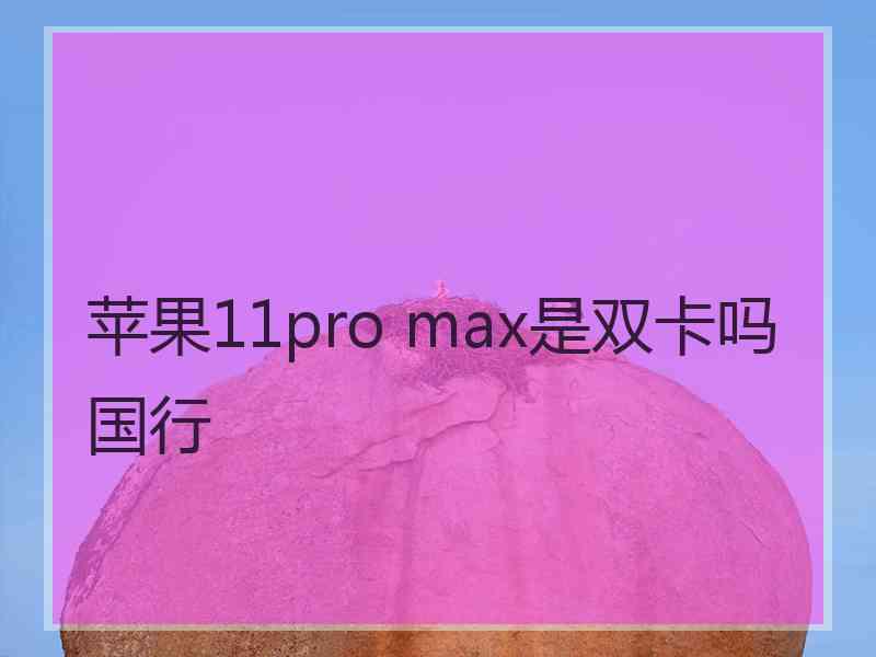 苹果11pro max是双卡吗国行