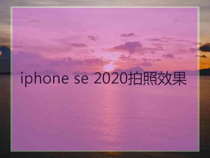 iphone se 2020拍照效果