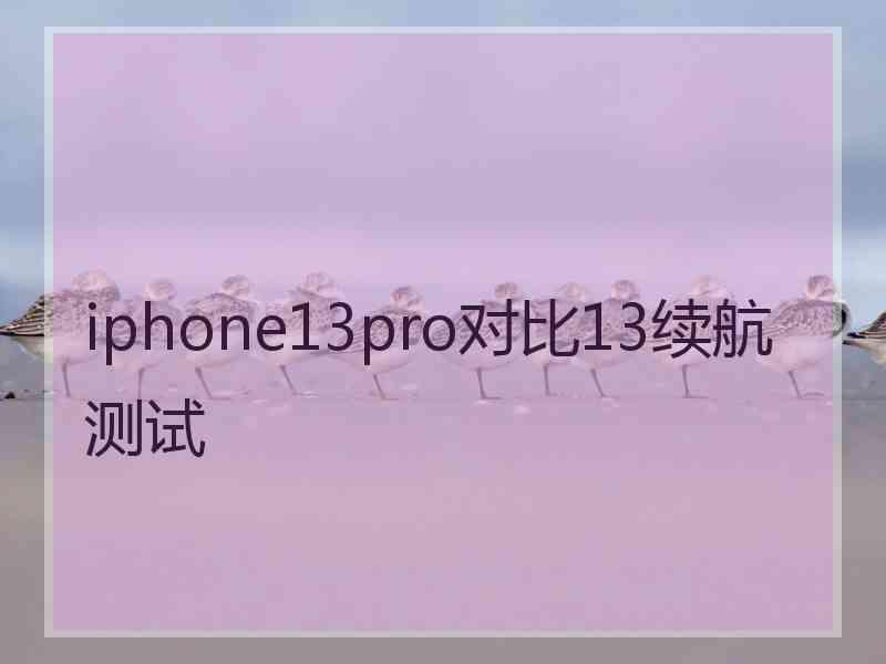 iphone13pro对比13续航测试