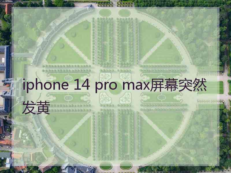 iphone 14 pro max屏幕突然发黄