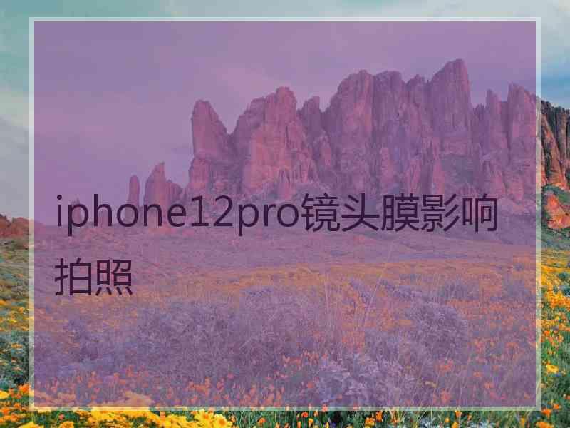 iphone12pro镜头膜影响拍照