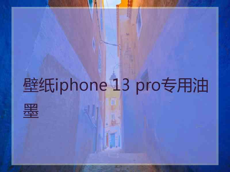 壁纸iphone 13 pro专用油墨