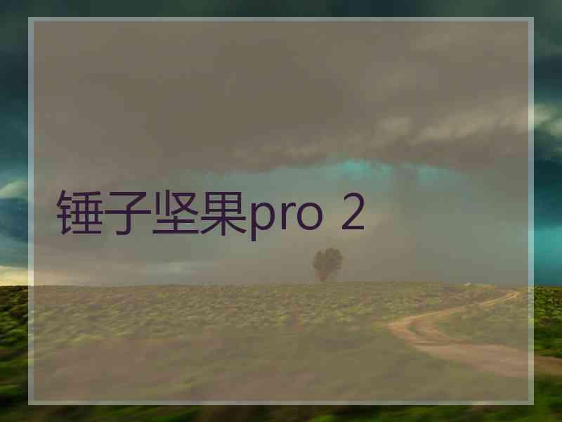 锤子坚果pro 2