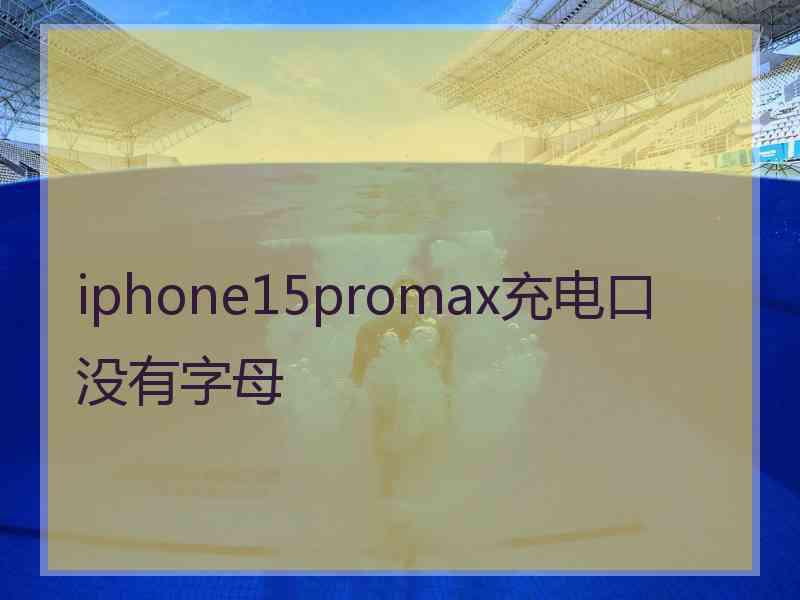 iphone15promax充电口没有字母