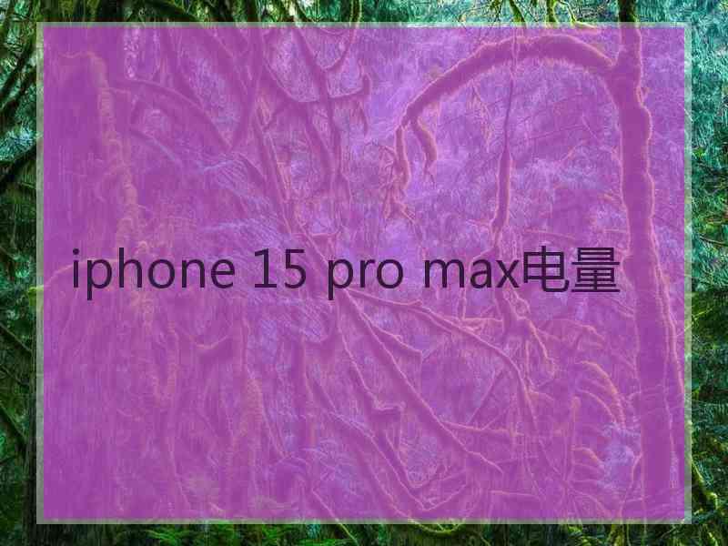 iphone 15 pro max电量