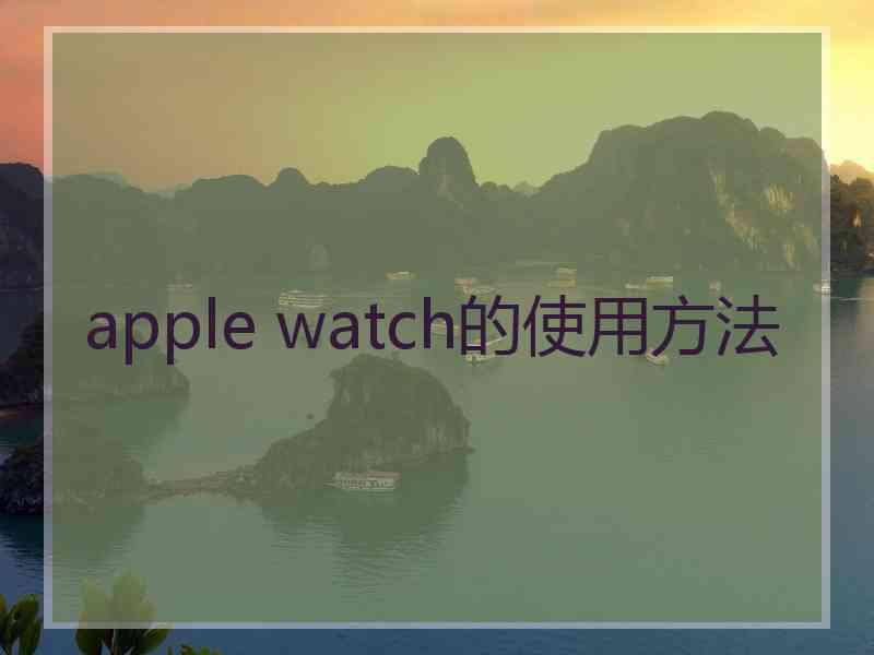 apple watch的使用方法