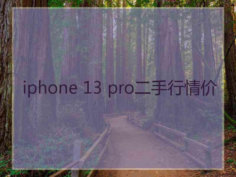 iphone 13 pro二手行情价