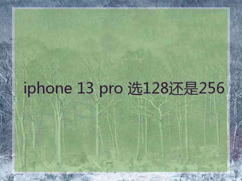 iphone 13 pro 选128还是256