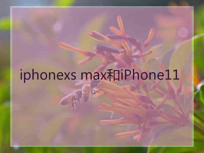 iphonexs max和iPhone11