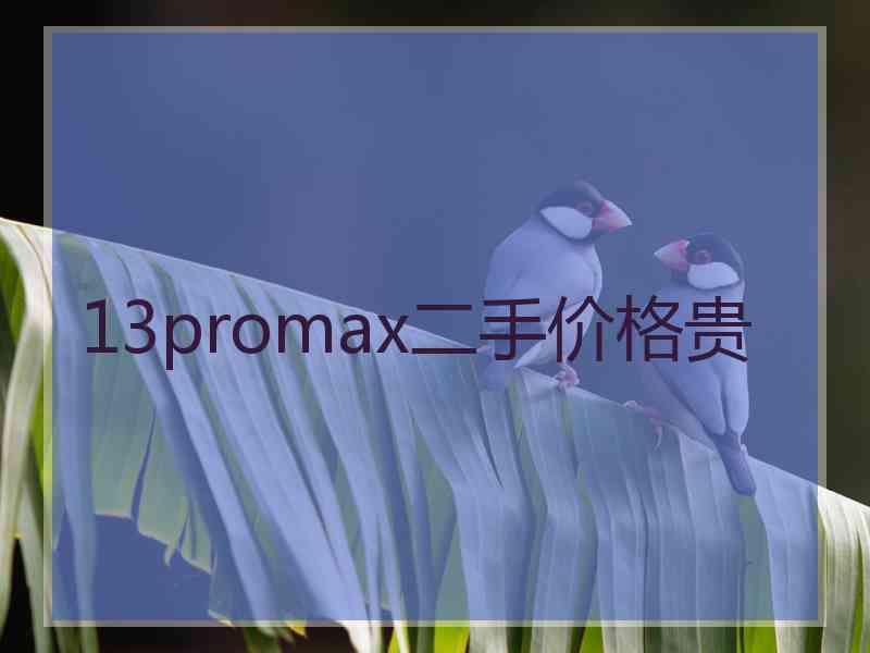 13promax二手价格贵