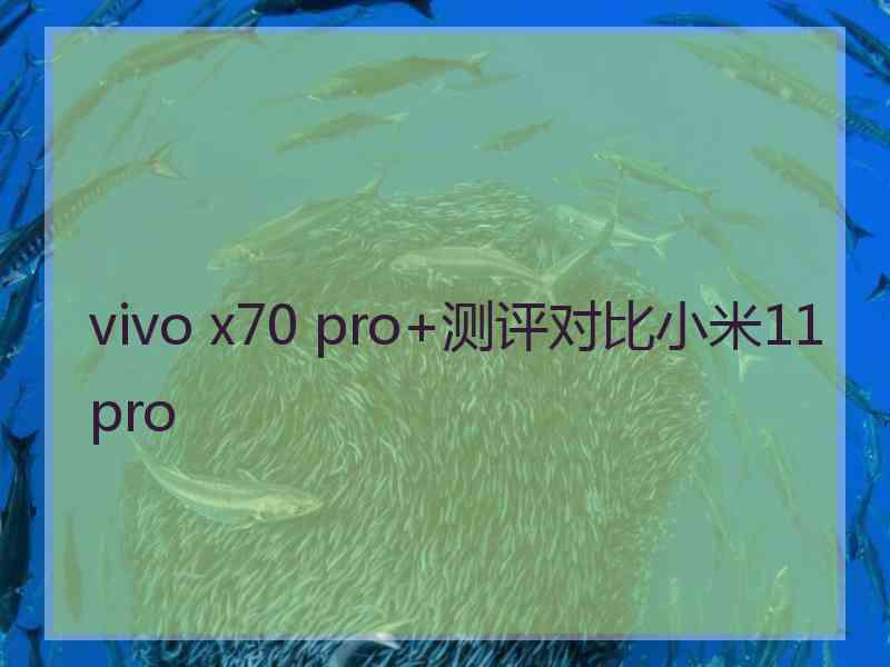 vivo x70 pro+测评对比小米11pro