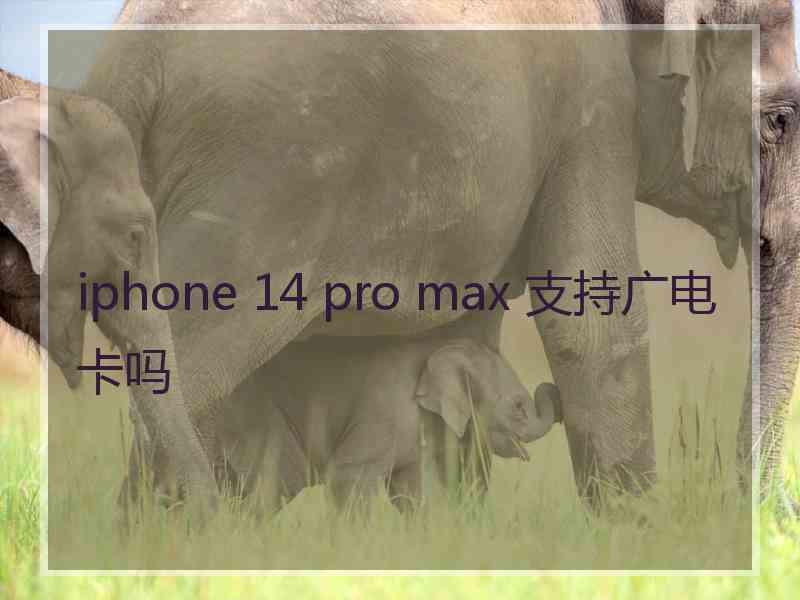 iphone 14 pro max 支持广电卡吗