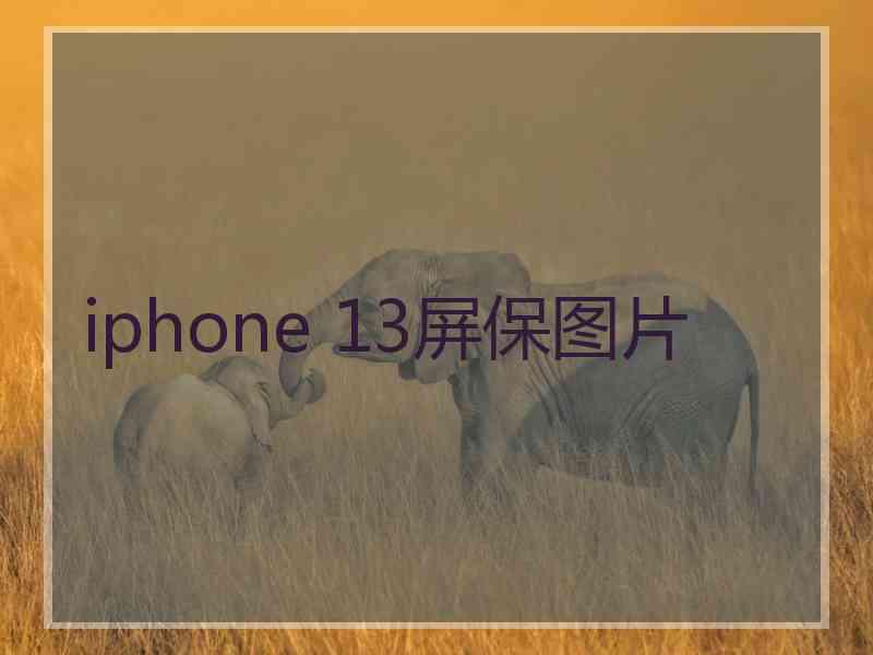 iphone 13屏保图片