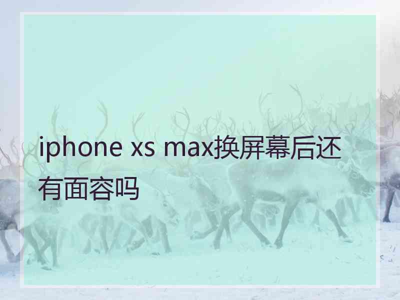 iphone xs max换屏幕后还有面容吗