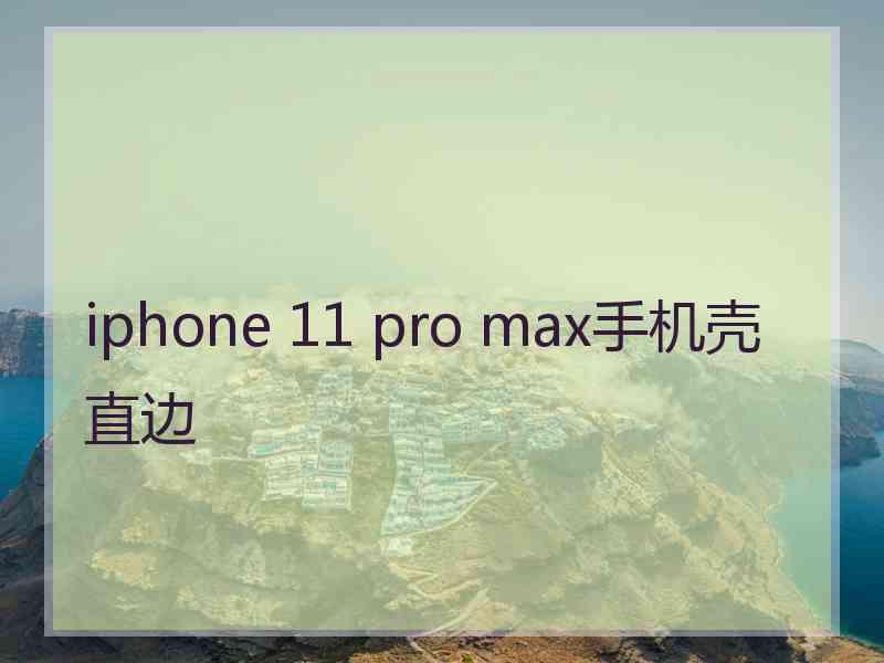 iphone 11 pro max手机壳直边