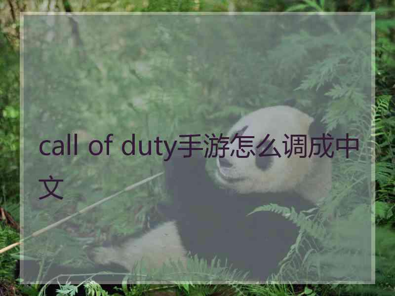 call of duty手游怎么调成中文