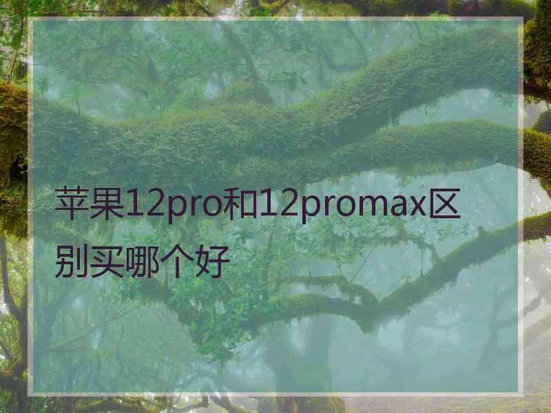 苹果12pro和12promax区别买哪个好