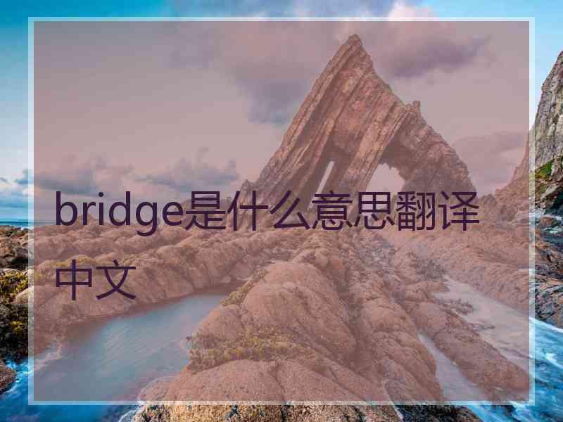 bridge是什么意思翻译中文