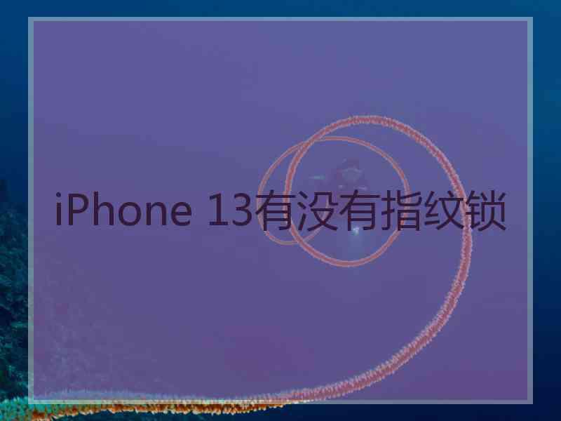 iPhone 13有没有指纹锁