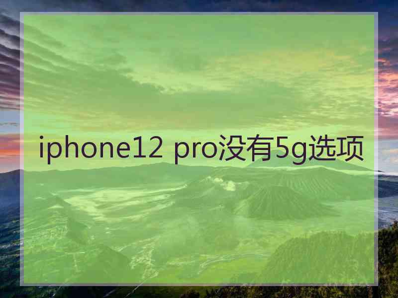 iphone12 pro没有5g选项