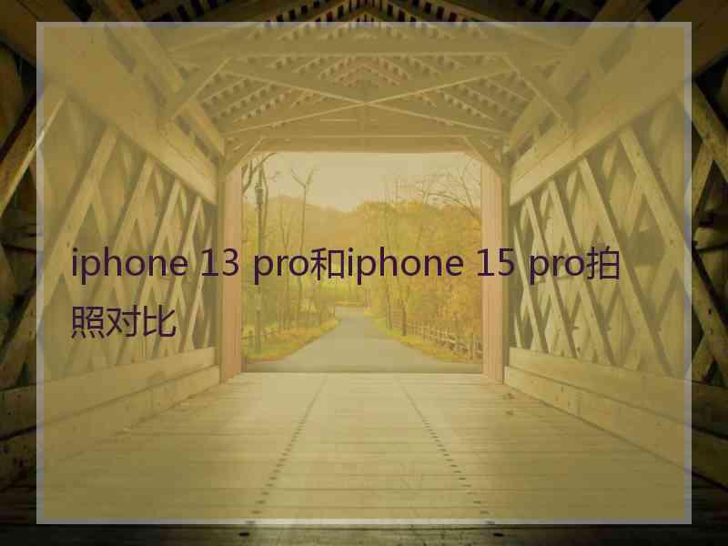 iphone 13 pro和iphone 15 pro拍照对比