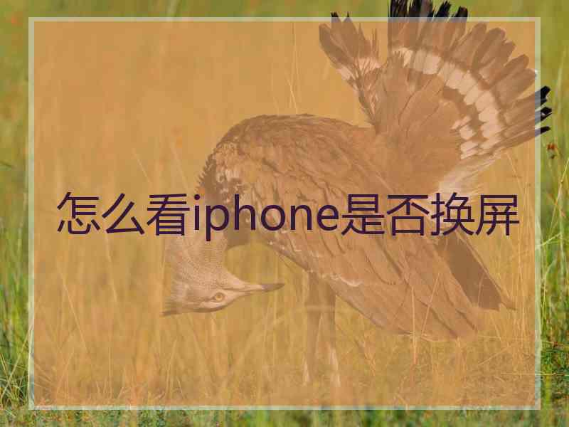 怎么看iphone是否换屏