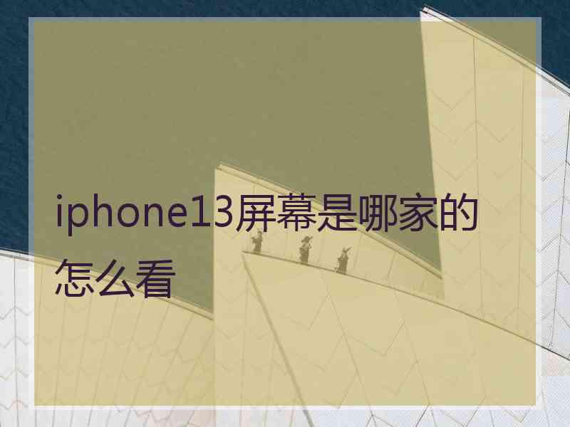 iphone13屏幕是哪家的怎么看