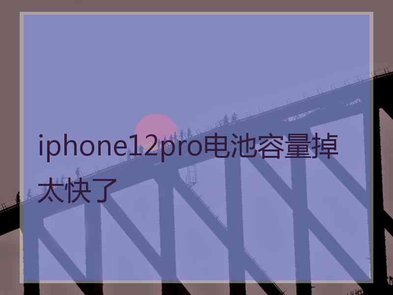 iphone12pro电池容量掉太快了