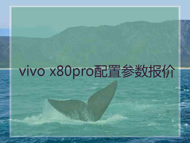 vivo x80pro配置参数报价