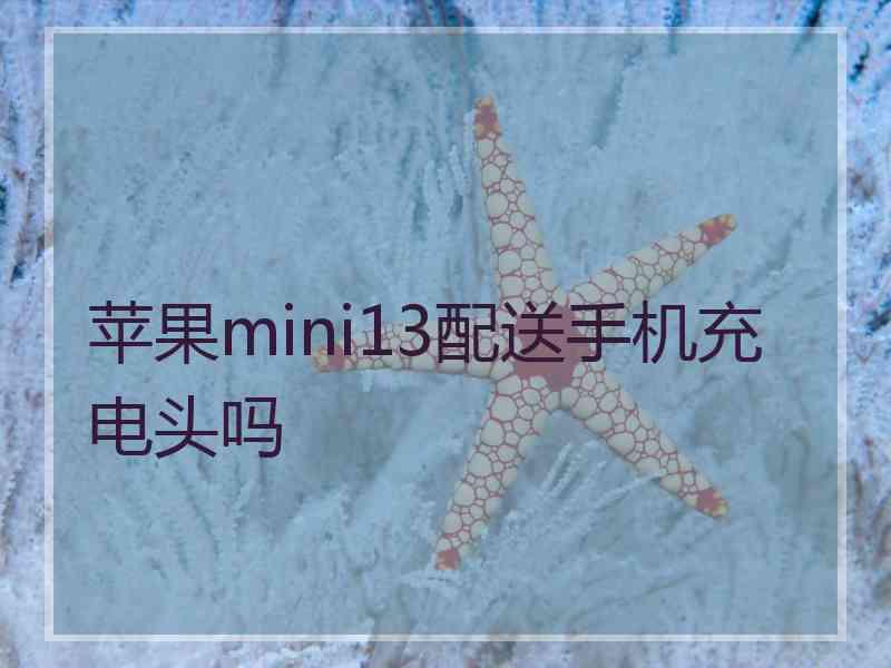 苹果mini13配送手机充电头吗