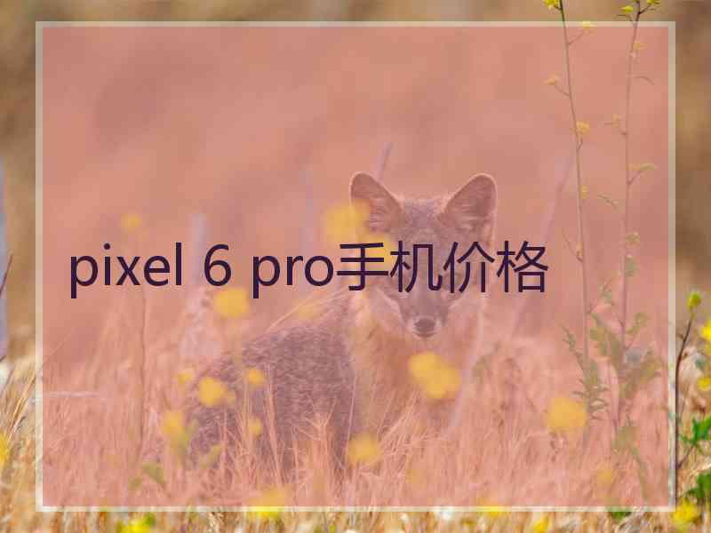 pixel 6 pro手机价格