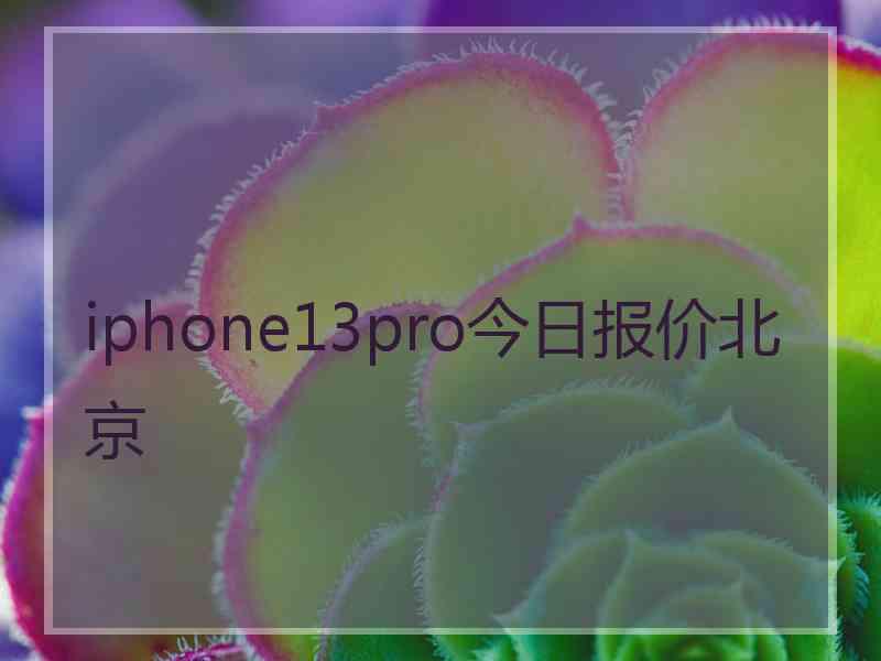 iphone13pro今日报价北京