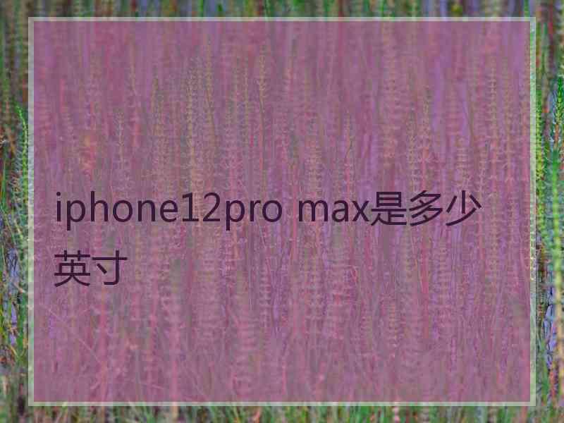 iphone12pro max是多少英寸