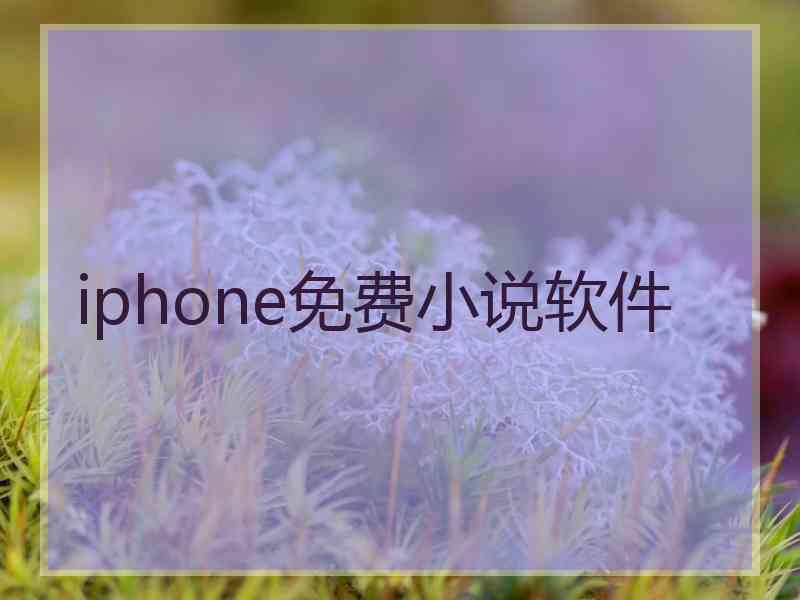 iphone免费小说软件