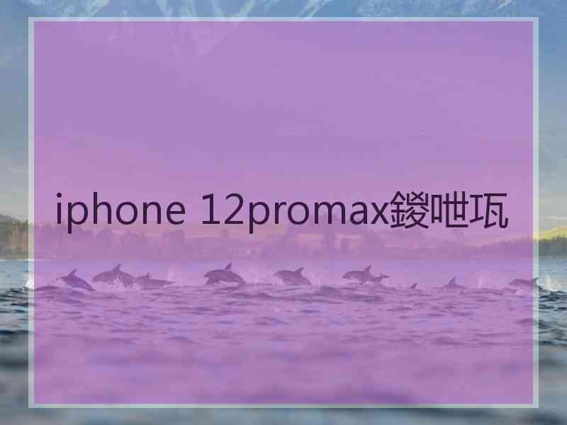 iphone 12promax鍐呭瓨